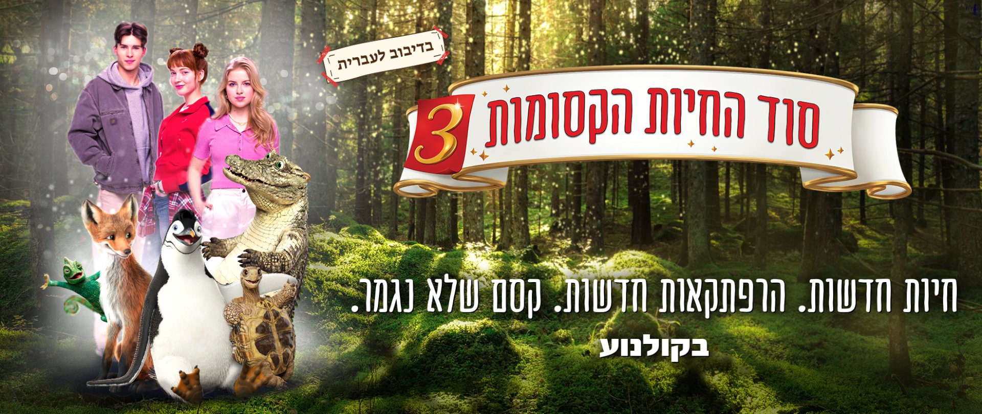 באנר